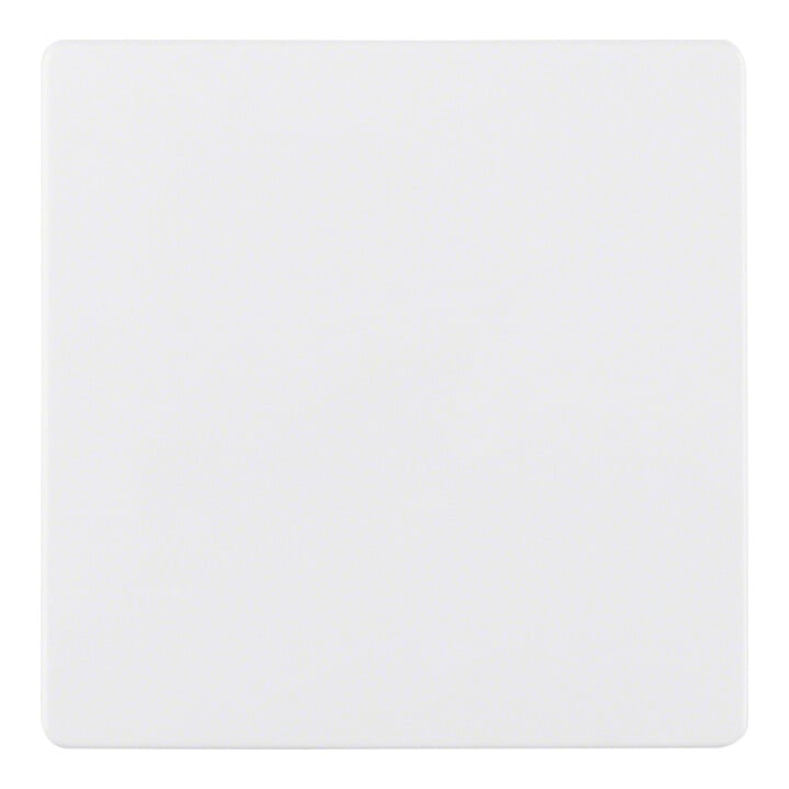 Berker Plaque centrale pws pour insert capteur 75940409