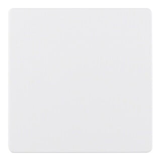 Berker Plaque centrale pws pour insert de capteur 75940489