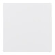 Berker Plaque centrale pws pour insert de capteur 75940489