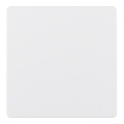 Berker Plaque centrale pws pour insert de capteur 75940489-3