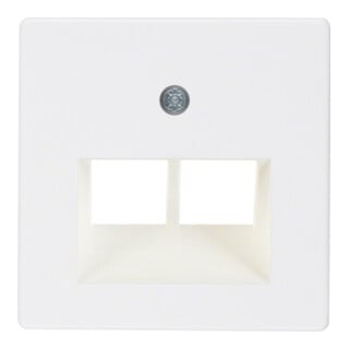 Berker Plaque centrale pws pour prise ISDN 146909