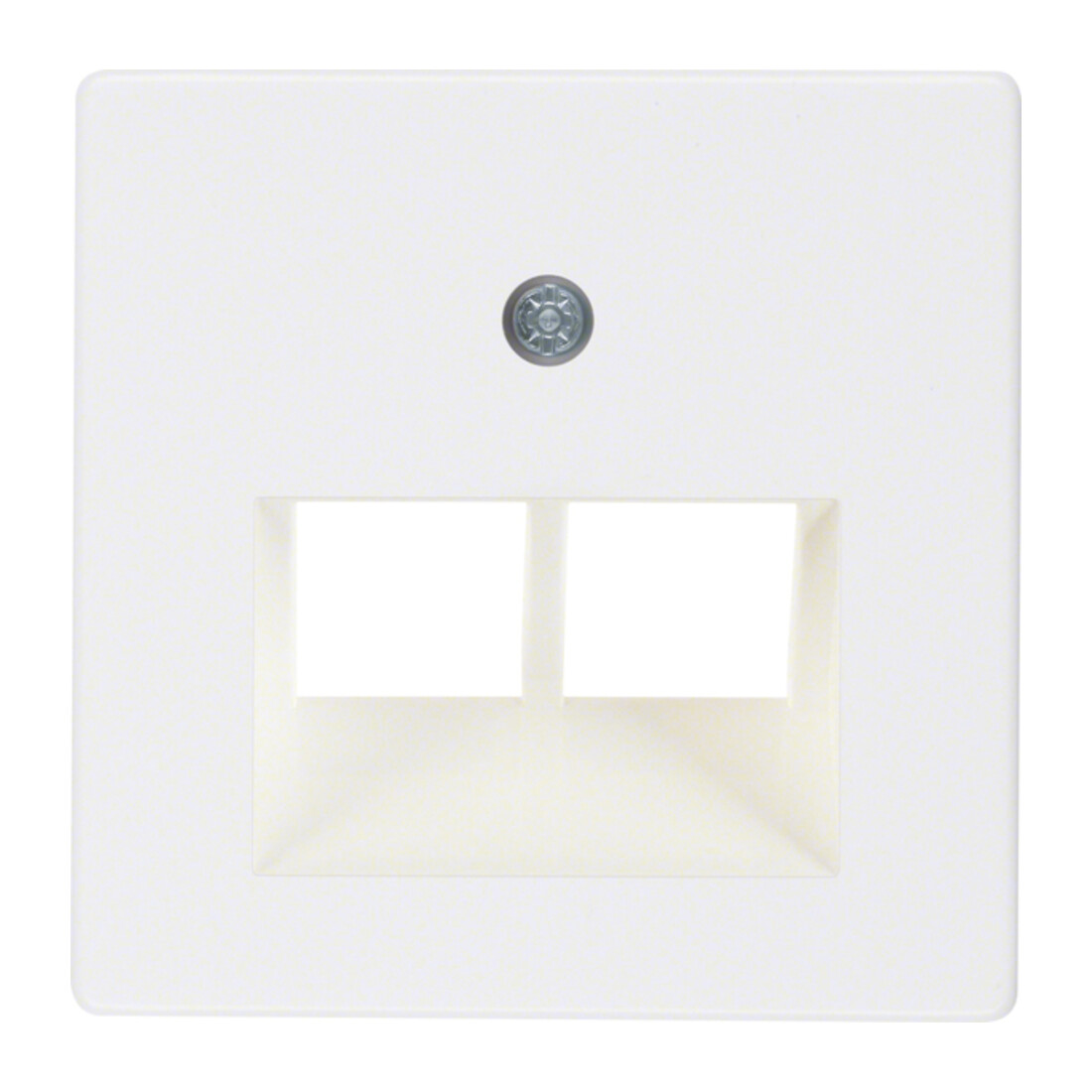 Berker Plaque centrale pws pour prise ISDN 146909