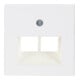 Berker Plaque centrale pws pour prise ISDN 146909