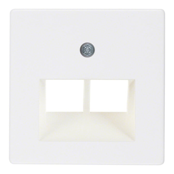 Berker Plaque centrale pws pour prise ISDN 146909
