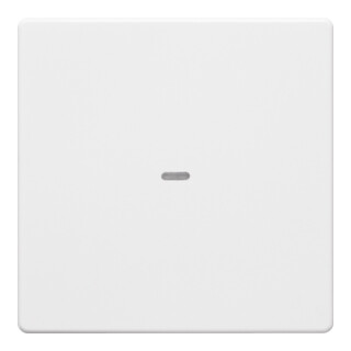 Berker Plaque de commande 1f. pws 80960229