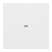 Berker Plaque de commande 1f. pws 80960229-1