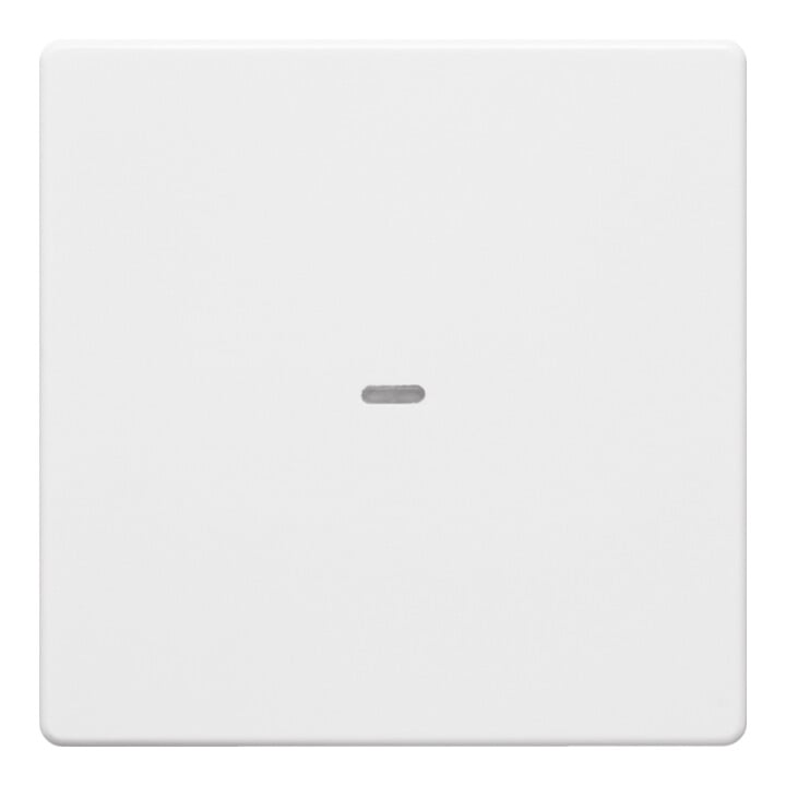 Berker Plaque de commande 1f. pws 80960229