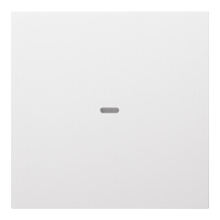 Berker Plaque de commande 1f. pws 80960289