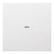 Berker Plaque de commande 1f. pws 80960289-1