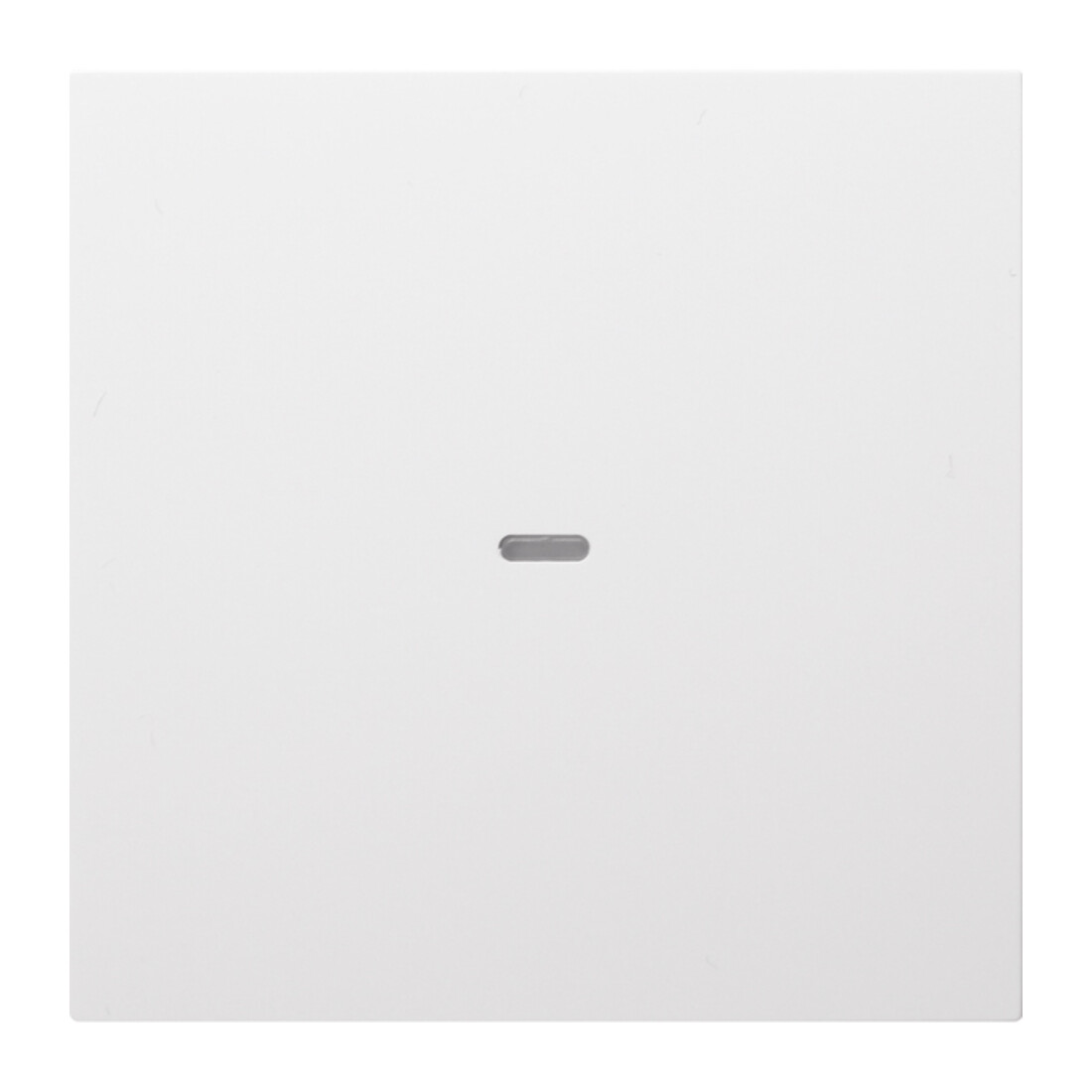 Berker Plaque de commande 1f. pws 80960289