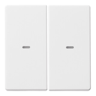 Berker Plaque de commande 2f. pws 80960329