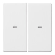 Berker Plaque de commande 2f. pws 80960329-1