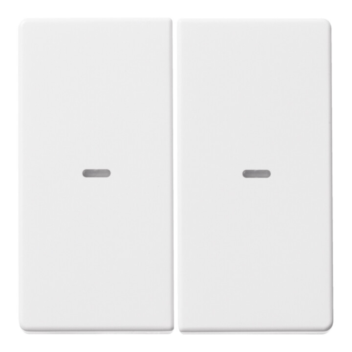 Berker Plaque de commande 2f. pws 80960329