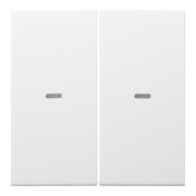 Berker Plaque de commande 2f. pws 80960389-1