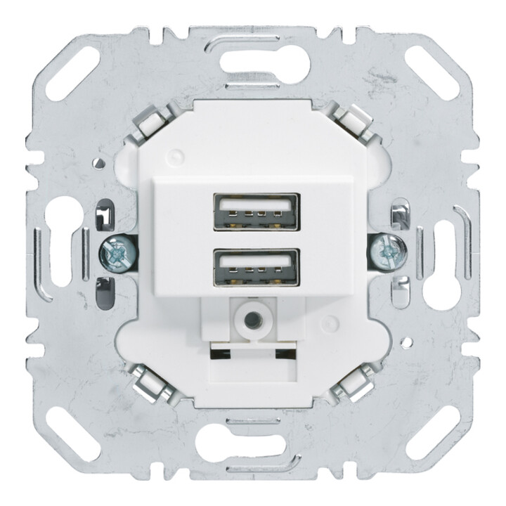 Berker Prise de charge USB 230V double 3A blanc polaire 260209