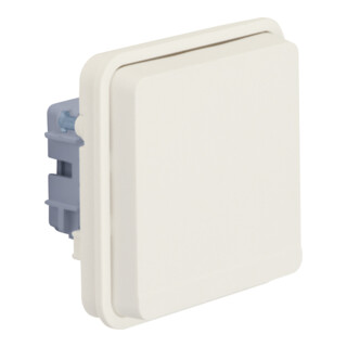 Berker Prise encastrée/applique pws mat 47063522