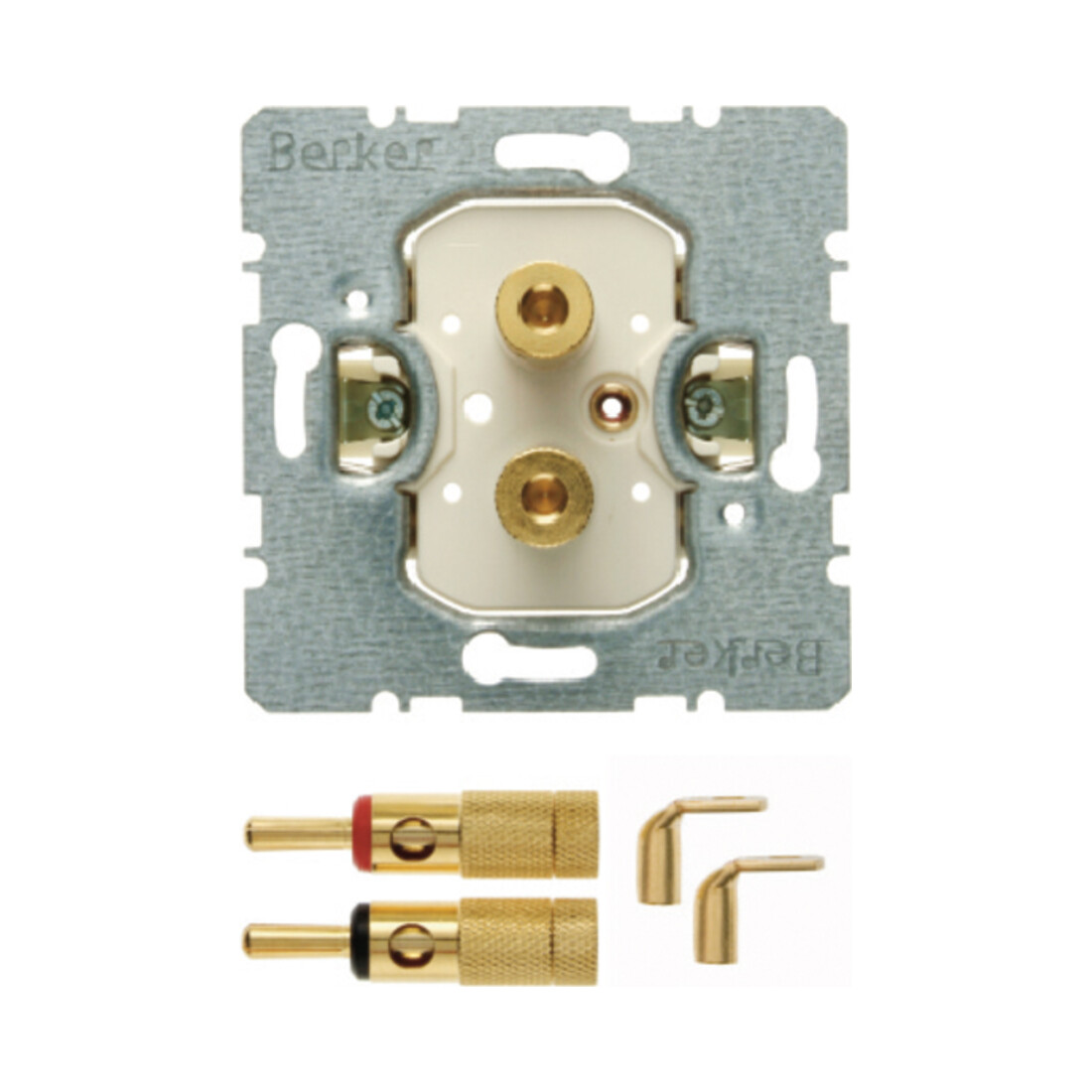 Berker Prise haut-parleur 450502