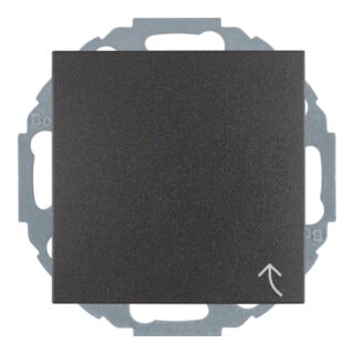Berker Prise Schuko anthracite/mat avec couvercle rabattable 47441606