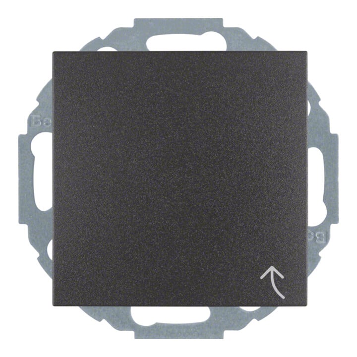 Berker Prise Schuko anthracite/mat avec couvercle rabattable 47441606