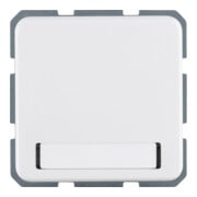 Berker Prise Schuko avec couvercle rabattable 471909-1