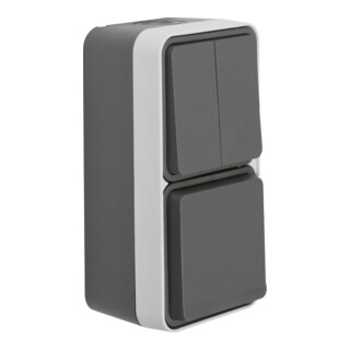Berker Prise SCHUKO combinée série gris clair 47903515