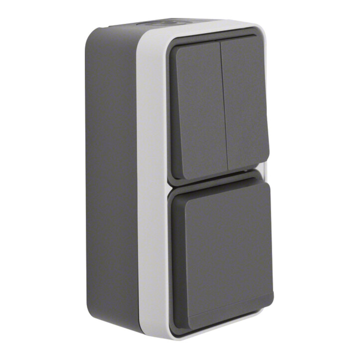 Berker Prise SCHUKO combinée série gris clair 47903515