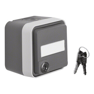 Berker Prise SCHUKO gris clair 47393505