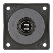 Berker Prise voiture anthracite 945172505-1