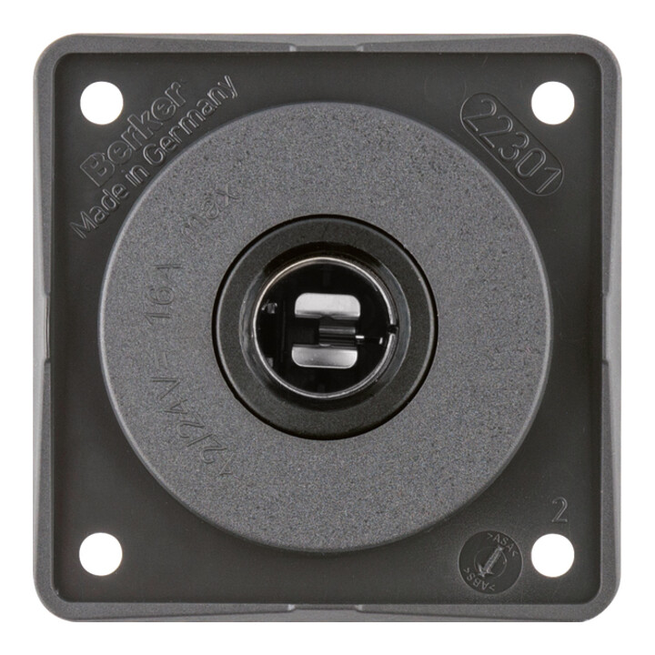 Berker Prise voiture anthracite 945172505