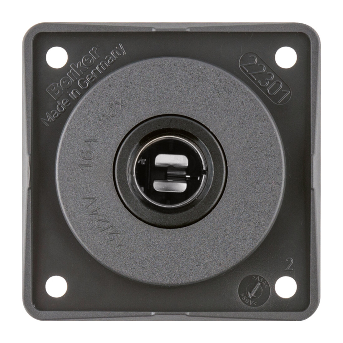 Berker Prise voiture anthracite 945172505