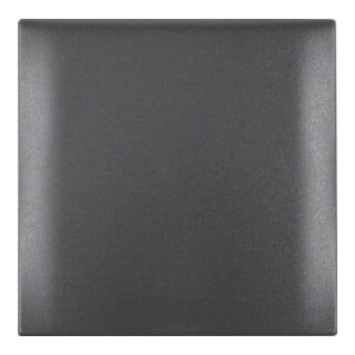 Berker Rahmen 1f.anth mit Klappdeckel 918282505