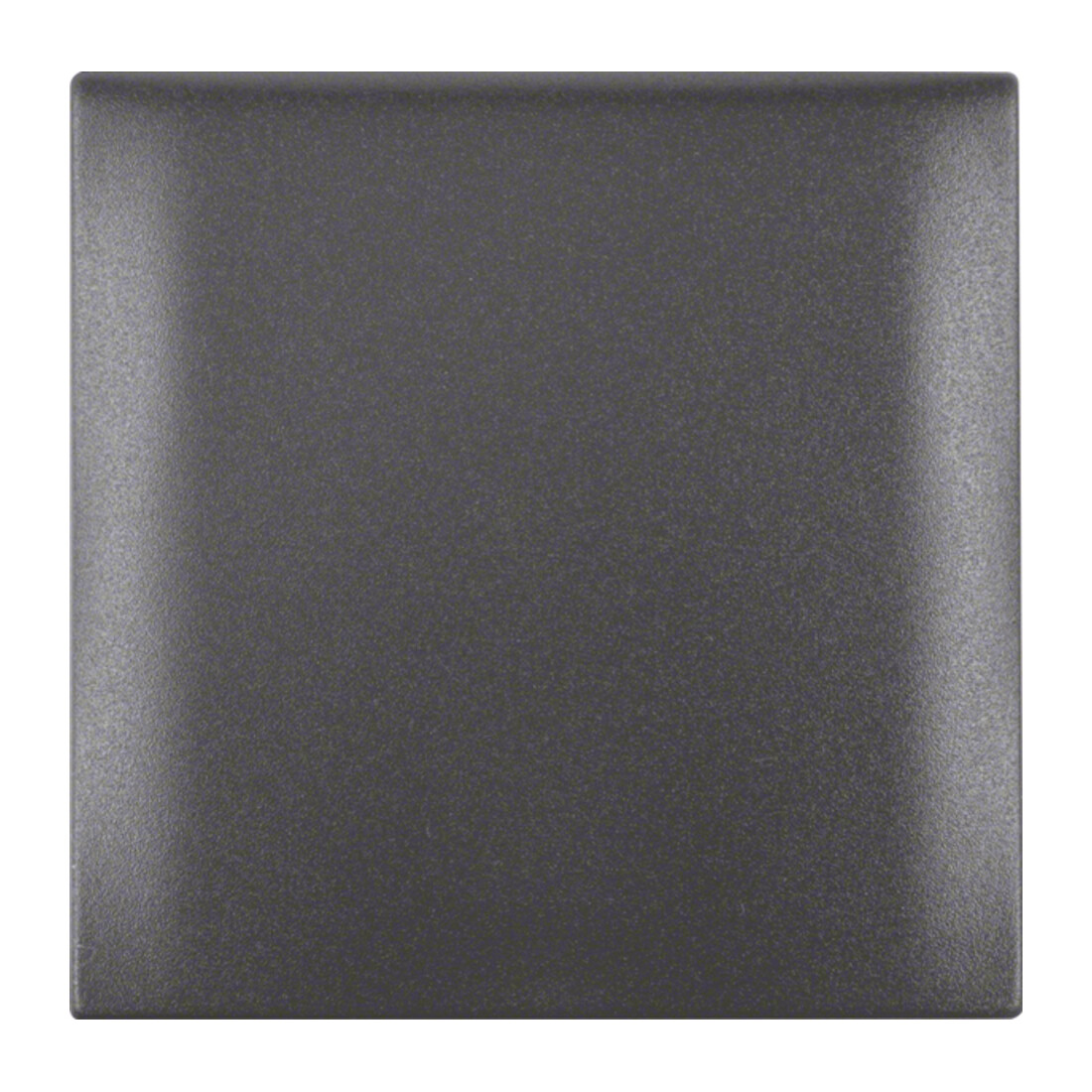Berker Rahmen 1f.anth mit Klappdeckel 918282505