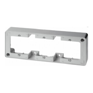 Berker Rahmen 3f.pws TwinPoint 10310069