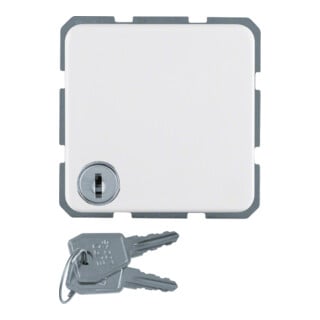 Berker Schuko-Steckd.pws mit Klappdeckel 476309