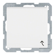 Berker Schuko-Steckdose pws mit Klappdeckel 47511909-1