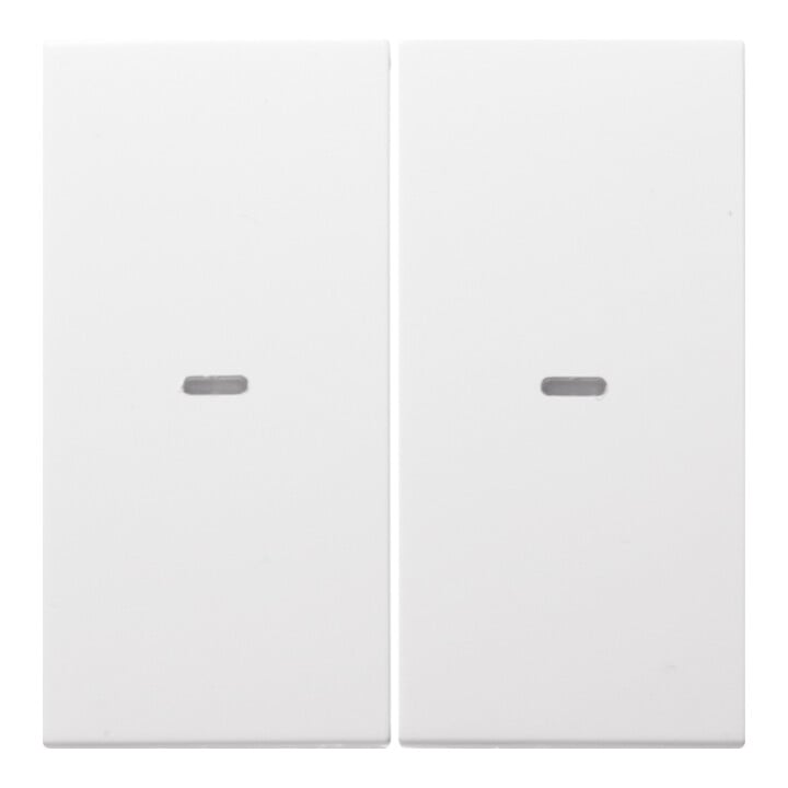 Berker Tast-Abdeckung 2f. pws 80960389