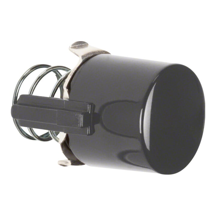 Berker Tasterknopf br 122501