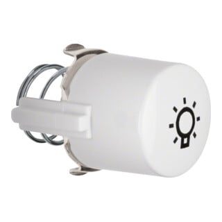 Berker Tasterknopf pws für Symbol Licht 1226