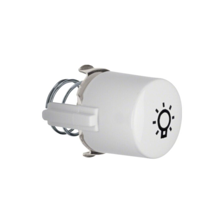 Berker Tasterknopf pws für Symbol Licht 1226