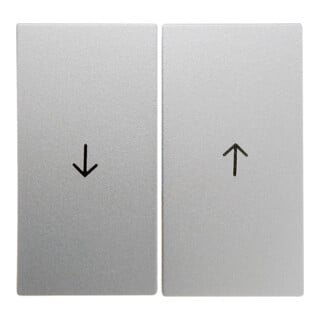 Berker Wippe alu matt mit Symbol Pfeil 16251404