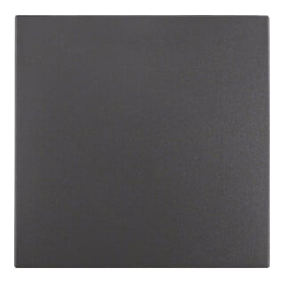 Berker Wippe anth matt 1-fach 16201606