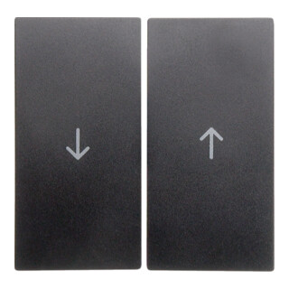 Berker Wippe anth matt Symbol Pfeil 16251606