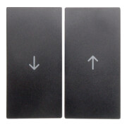 Berker Wippe anth matt Symbol Pfeil 16251606-1
