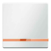 Berker Wippe Linsen 16216089-3