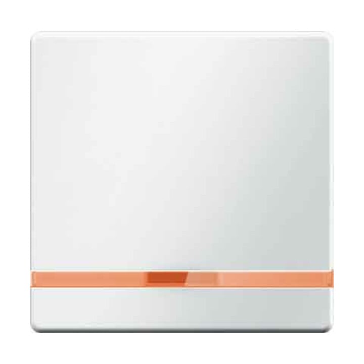 Berker Wippe Linsen 16216089