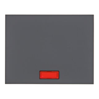 Berker Wippe Linsen K.1 anthrazit 14157006