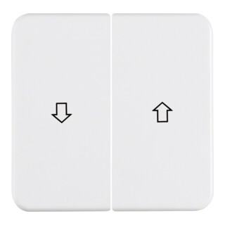 Berker Wippe pws 155229