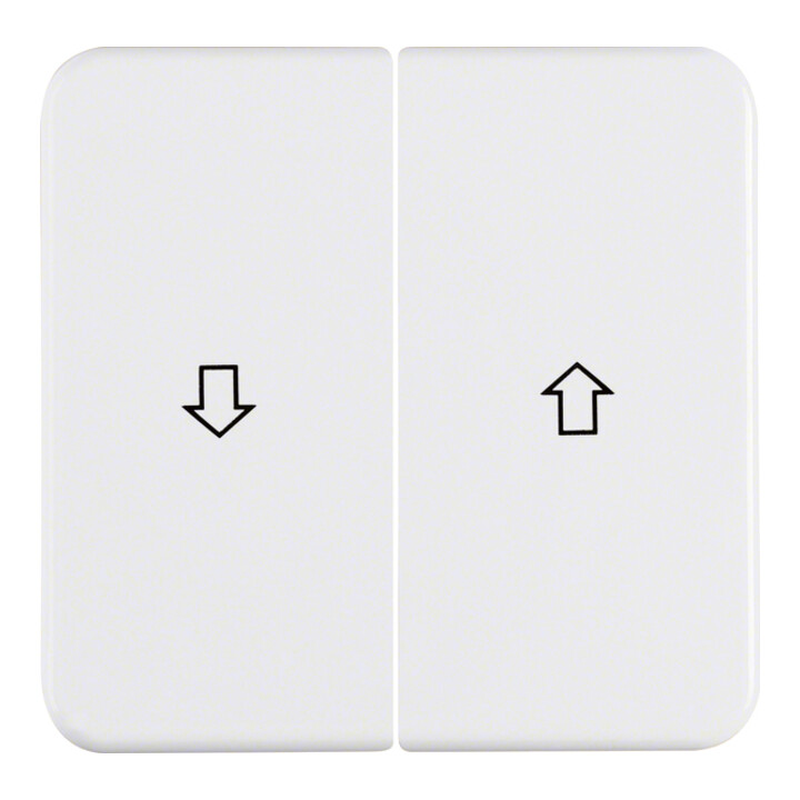 Berker Wippe pws 155229