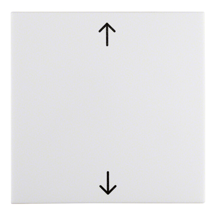 Berker Wippe pws/gl 16208919