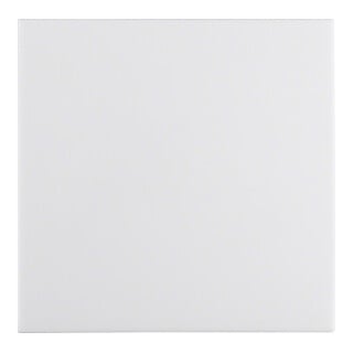 Berker Wippe pws/gl 16208989